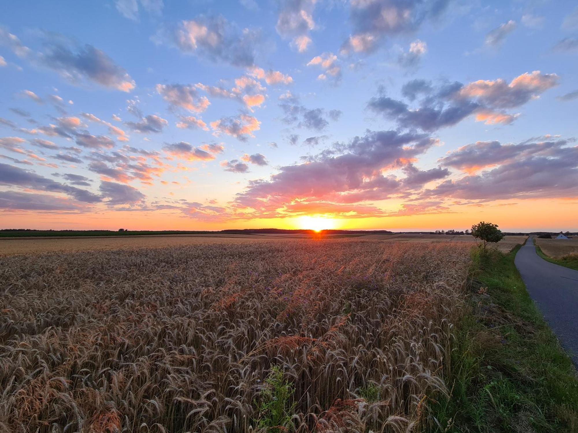 Agroturystyka Wrecza Esterno foto