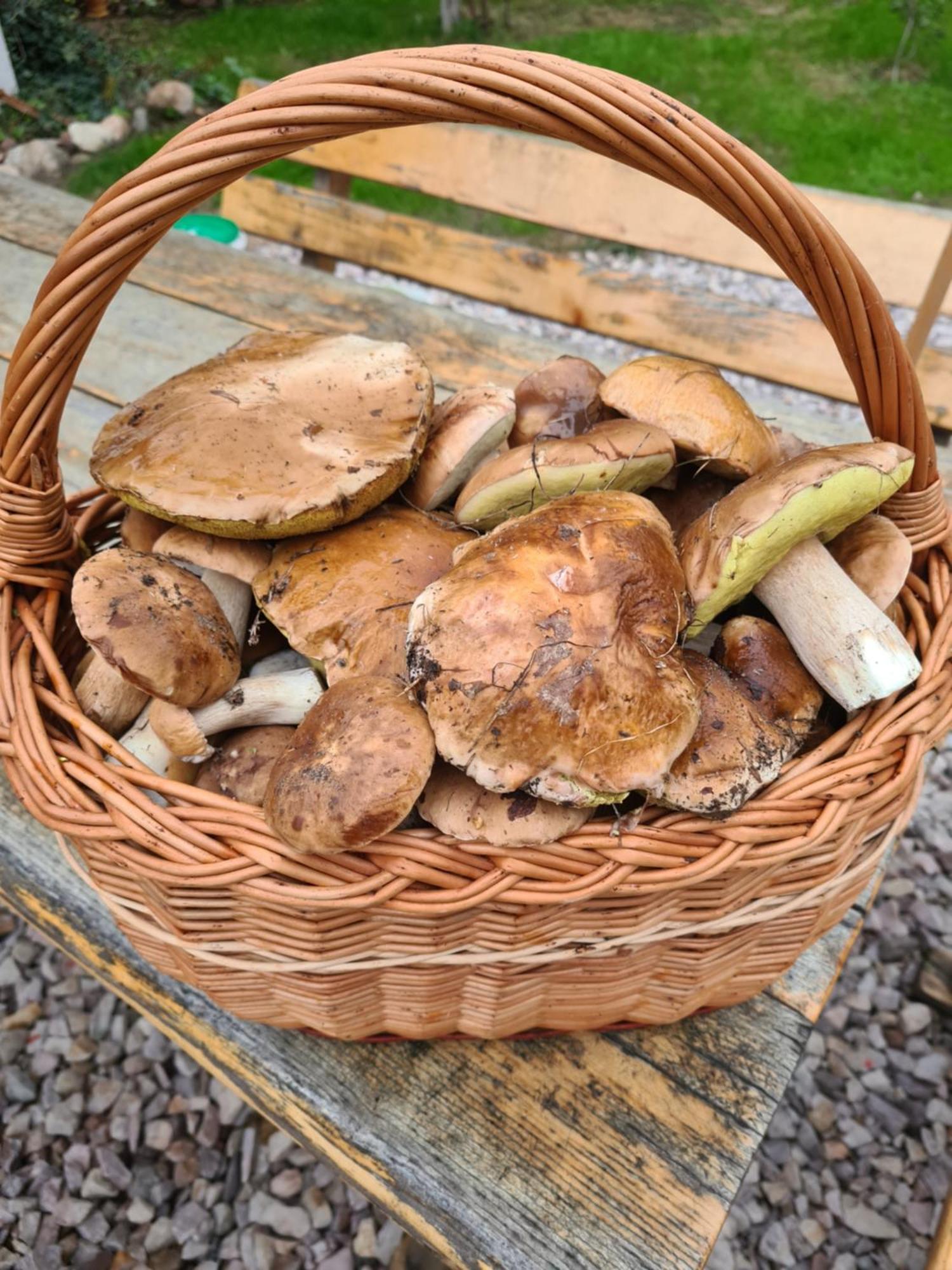 Agroturystyka Wrecza Esterno foto